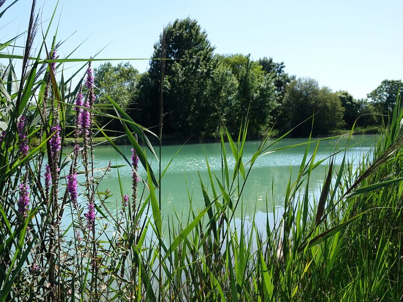 Pond of La Grève in Vandre