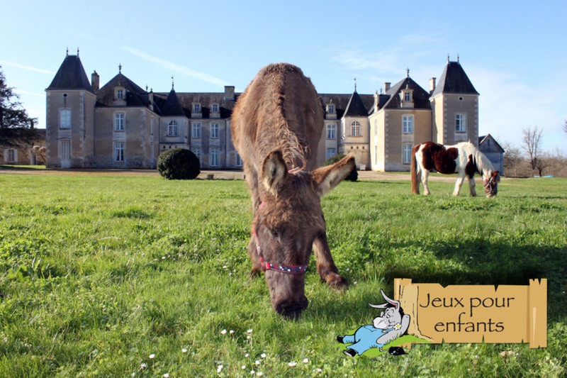 Castle in the background, a donkey and a pony eating the grass in the front