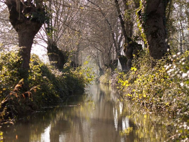 Canals in the Marais Poitevin