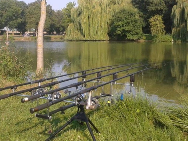 Rods placed on the side of the pond
