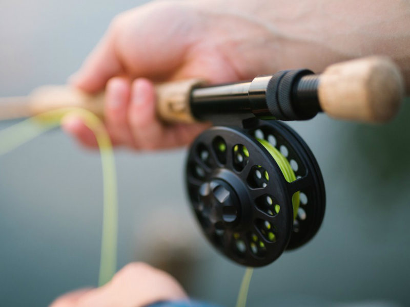 Fishing rod with reel