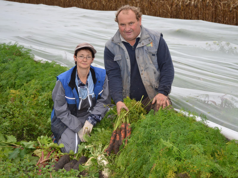 Marie-Line et Francky, producteurs de légumes