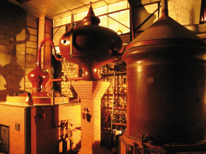 Visites de la distillerie Pineau Cognac Bossuet