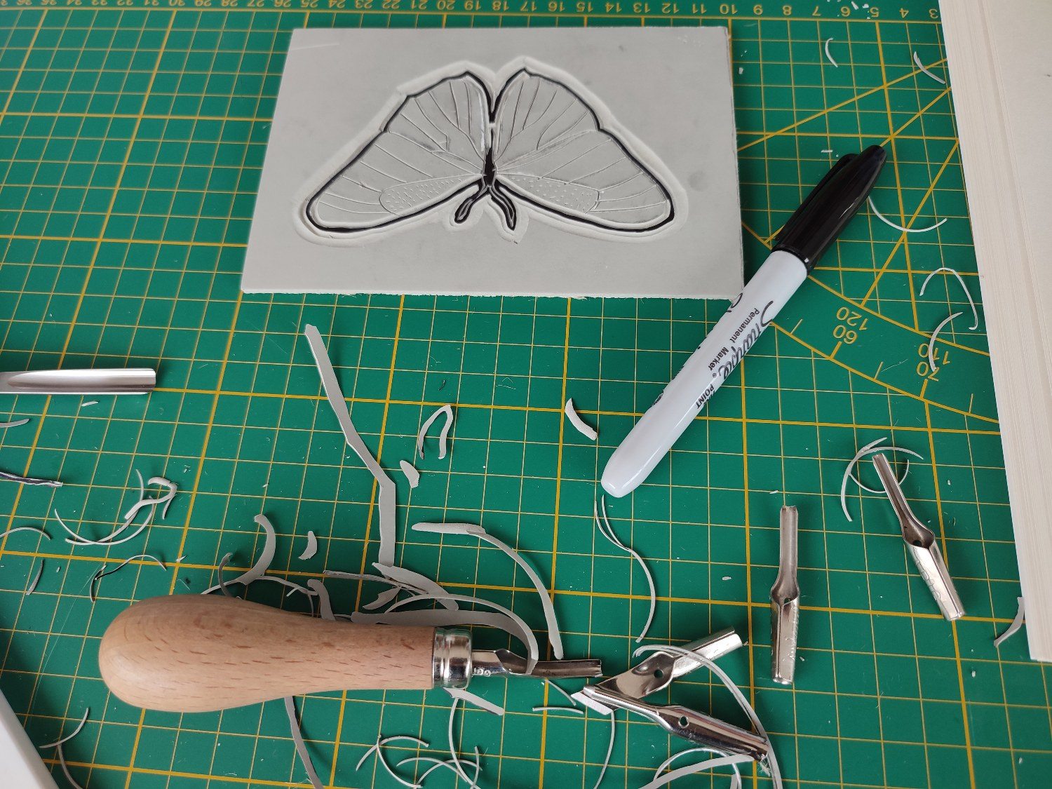 atelier-linogravure-otamp-16