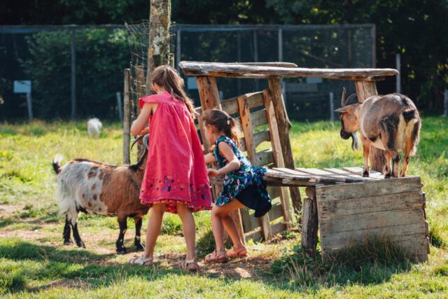 familles-marais-poitevin