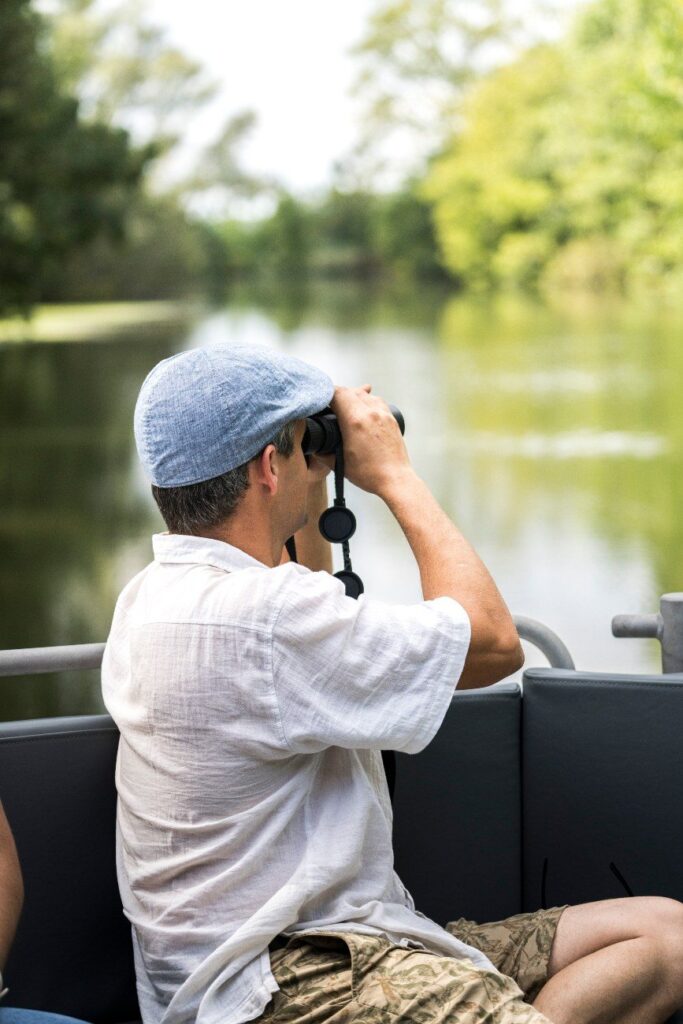 observation des oiseaux dans le Marais poitevin depuis un bateau