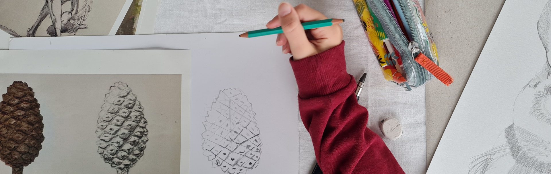atelier-dessinhello-pangraphe