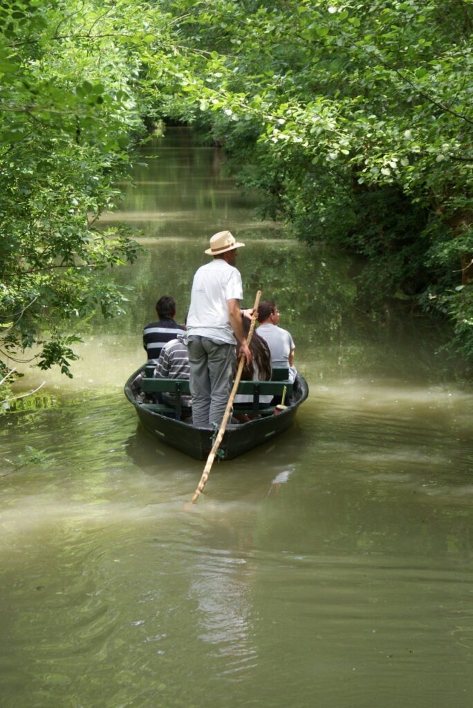 Barque au parc ornithologique des oiseaux du marais poitevin